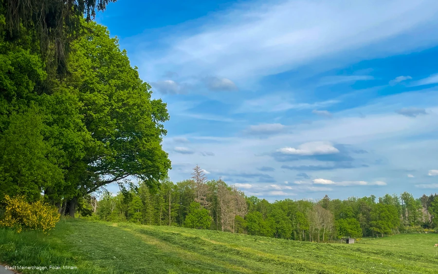 20220512_Jagdhornweg_Valbert (22).jpeg