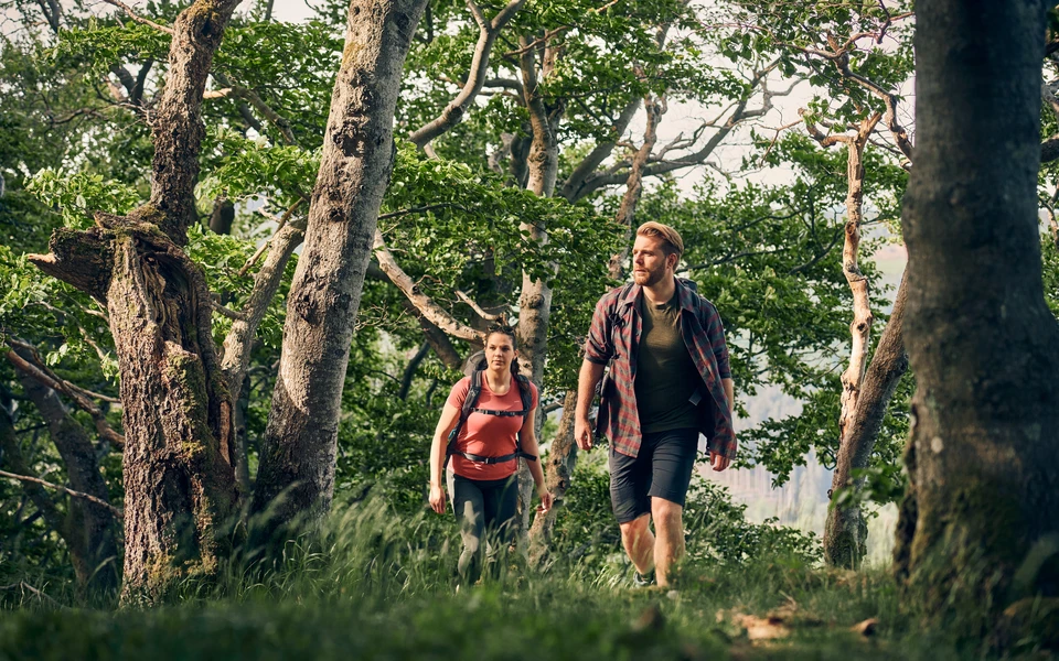 PI_10 Years Quality Region Sauerland-Wanderdörfer.jpg