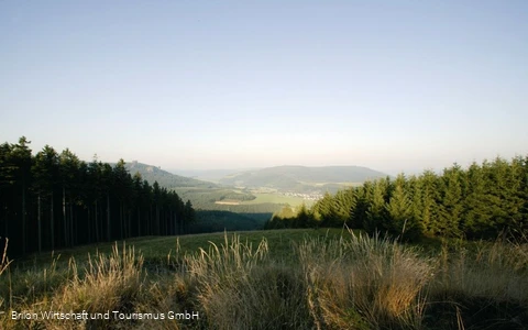 Landschaft Brilon