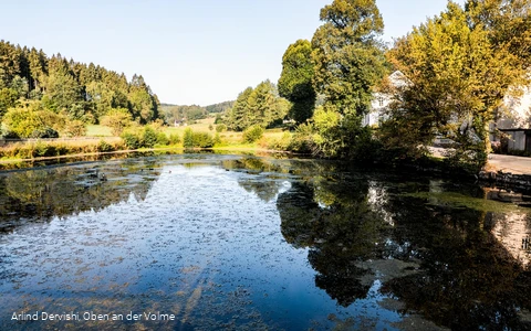 Fischteich am Ende bzw. Anfang des Schlechtenbachtals