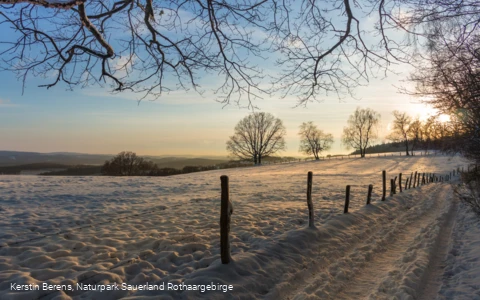 Winterlandschaft bei Windhausen