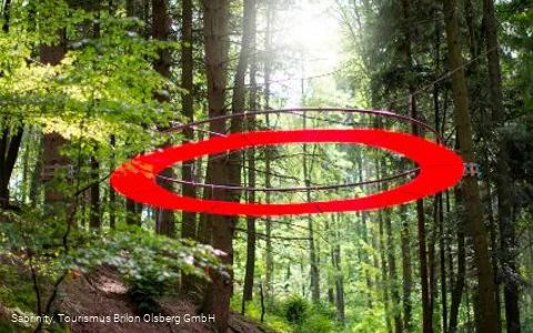 Station 8 - Feenkranz