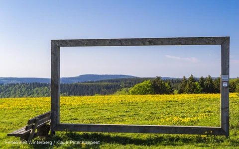 FerienweltWinterberg_2018_Hoheleye_Naturkino Landschaftskino Rahmen Natur_Sommer_Klaus-Peter Kappest (2).jpg
