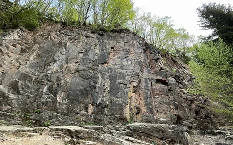 20220505_Scharpenbeul (11).jpg