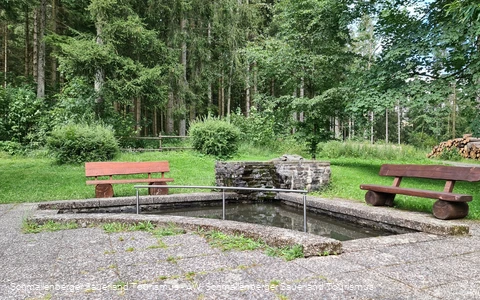 2577061