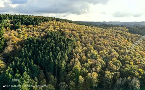 Der Sauerländer Wald ist Thema dieses Wanderweges