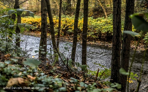 Auch nah am Wasser entlang führt der Themenweg