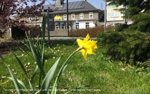 Frühling am Bahnhof in Bestwig