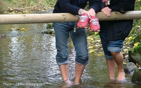 Tretstelle Gierskopp