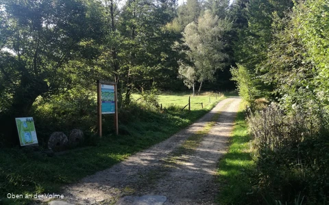 Rätseltafel an einer Waldkreuzung