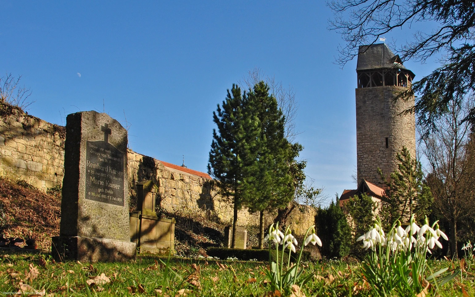 Fruehling Totenhagen Graeber Tylenturm