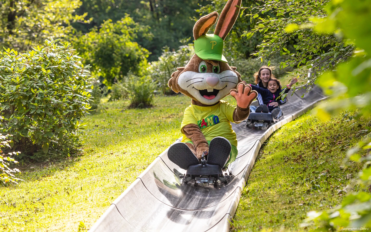 Das Panorama-Park Maskottchen Pano fährt mit der Sommerrodelbahn Fichtenflitzer.