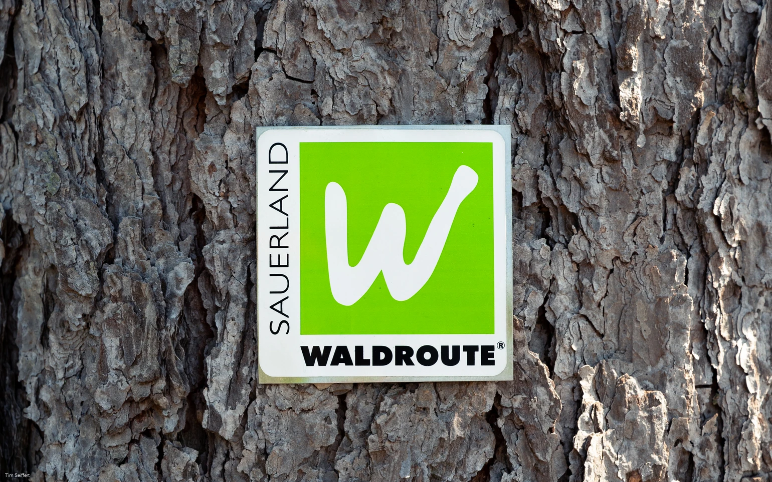 Logo SWR hochkant (c) Tim Seiffert.jpeg