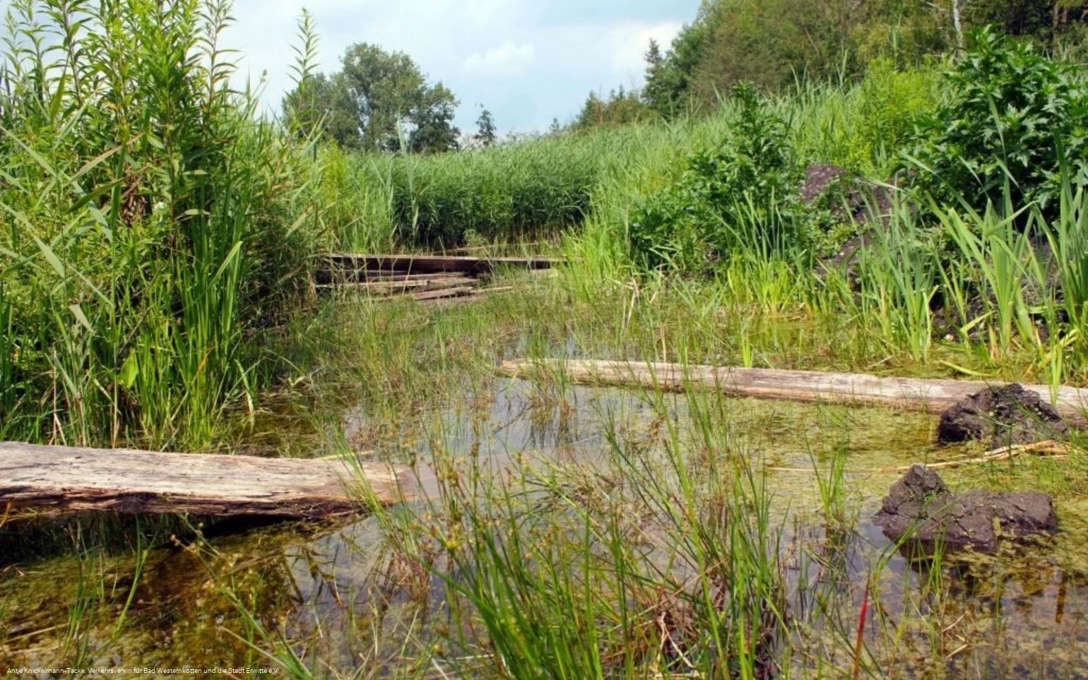 Naturschutz- & Naherholungsgebiet Muckenbruch  Moorentnehme