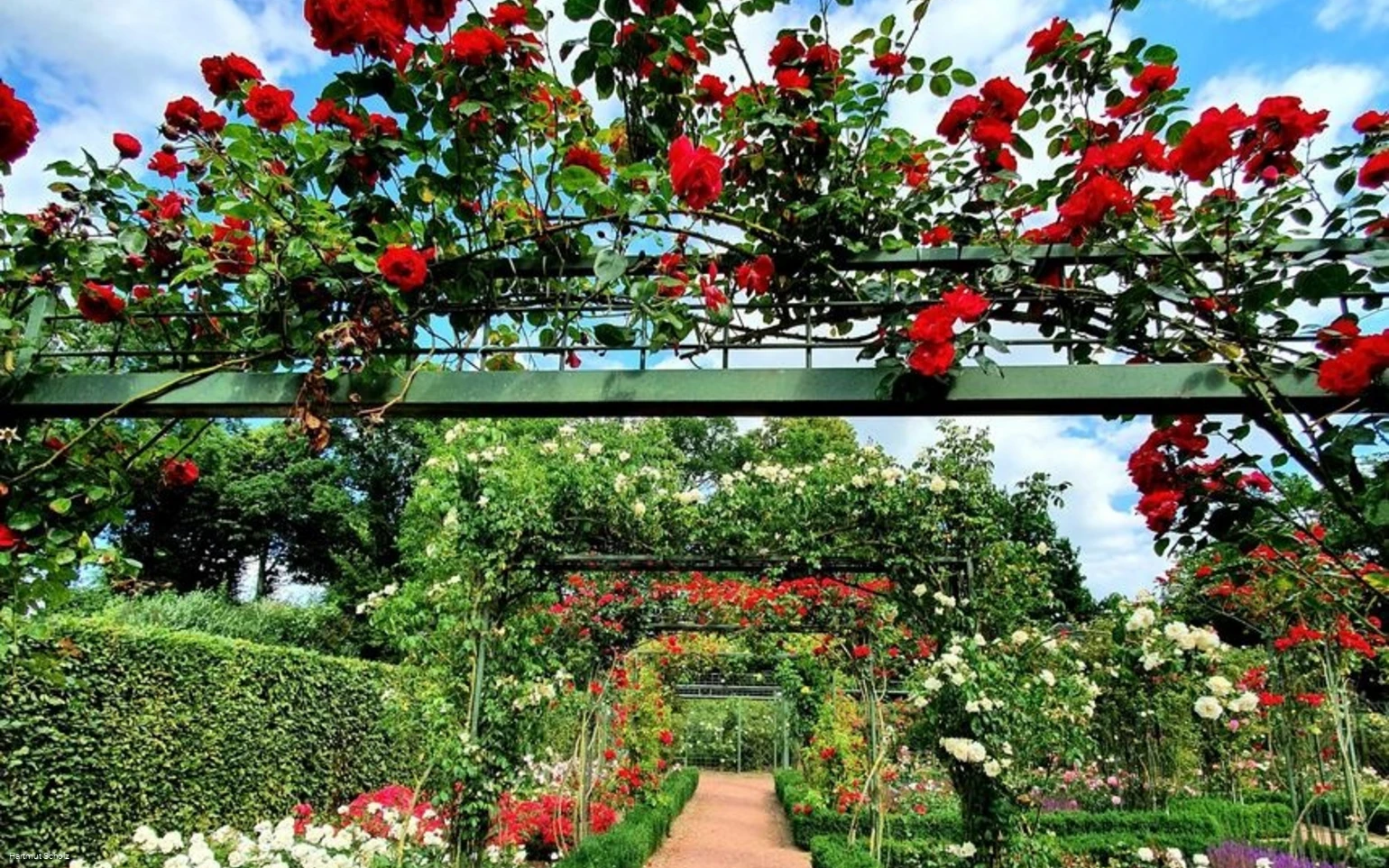 Rosengarten Bad Sassendorf