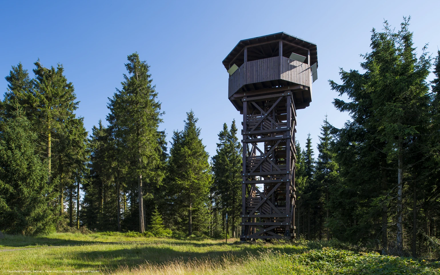 Ein Holzturm mit Dach inmitten von Tannen und einer Wiese.