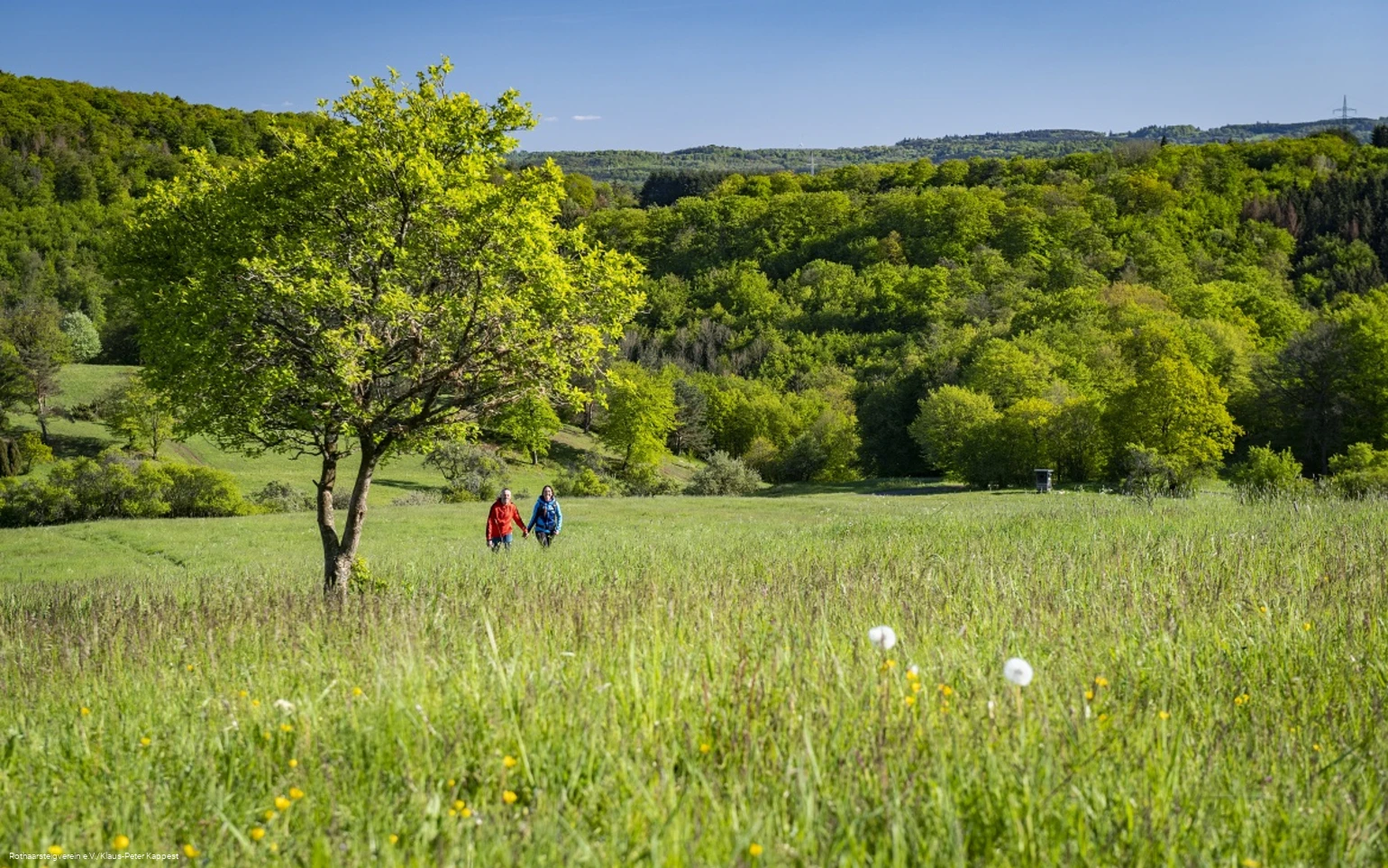 Zwei Wanderer auf der grünen Wiese