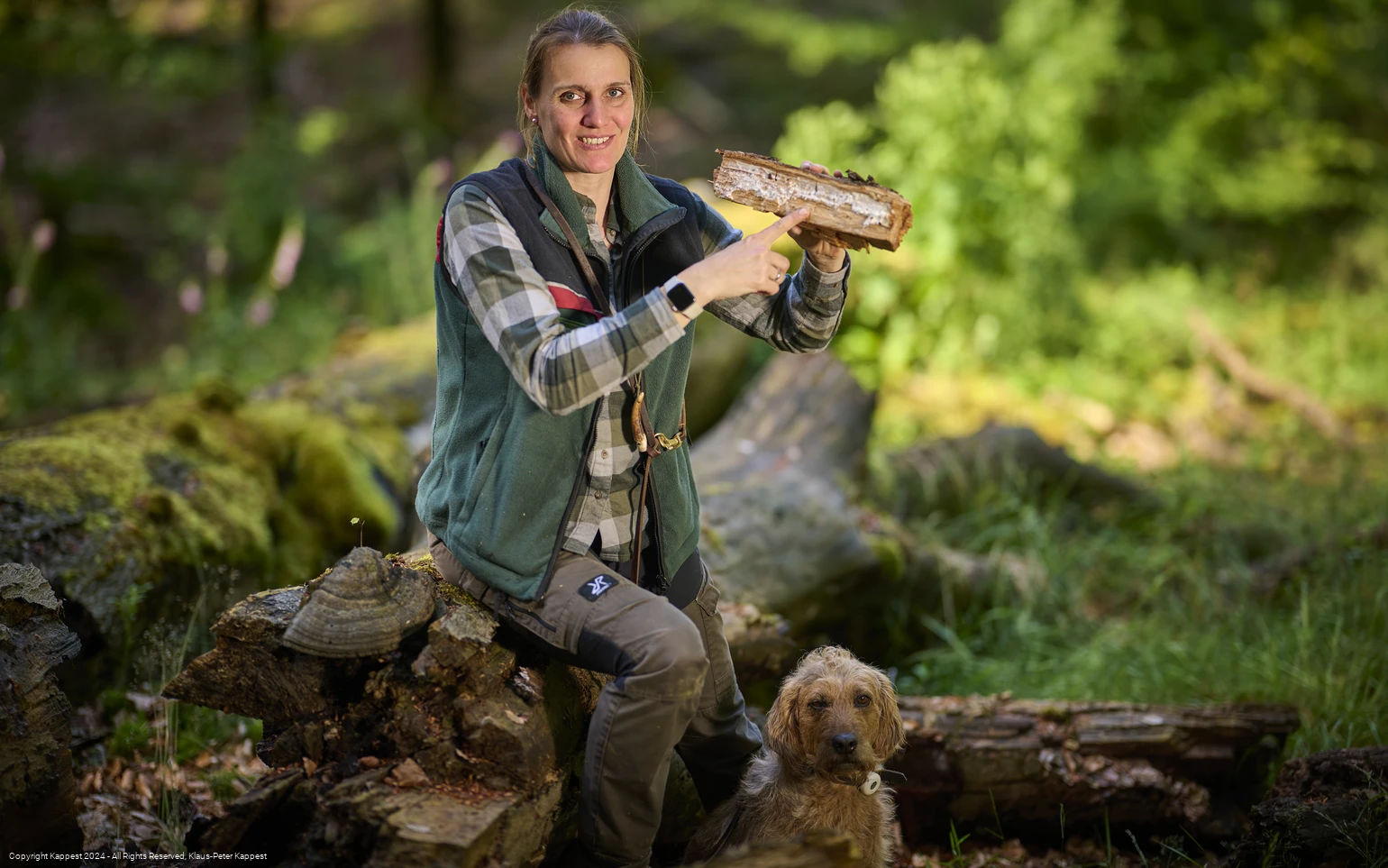 Baumrinde