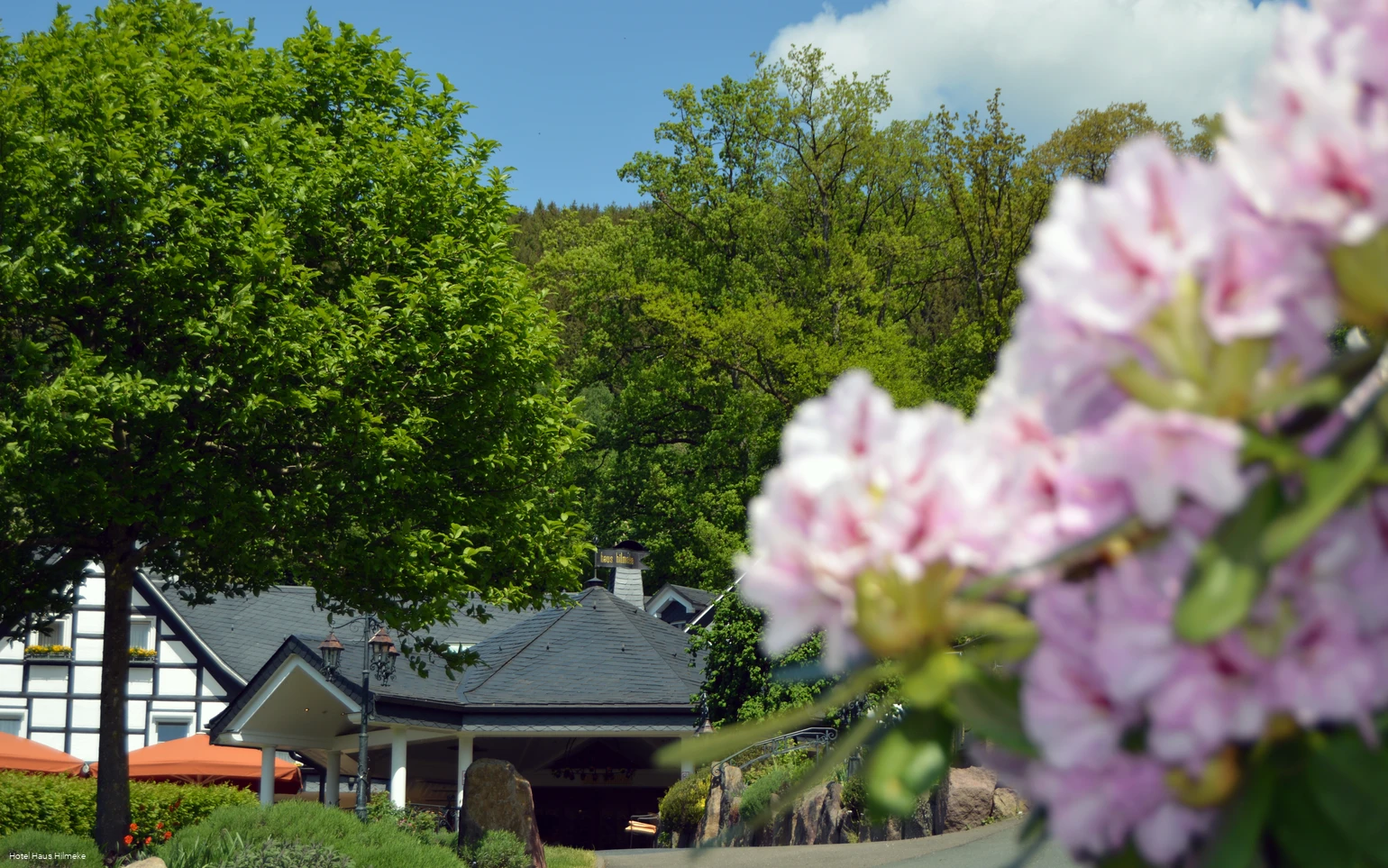 Hotel Haus Hilmeke1.jpg