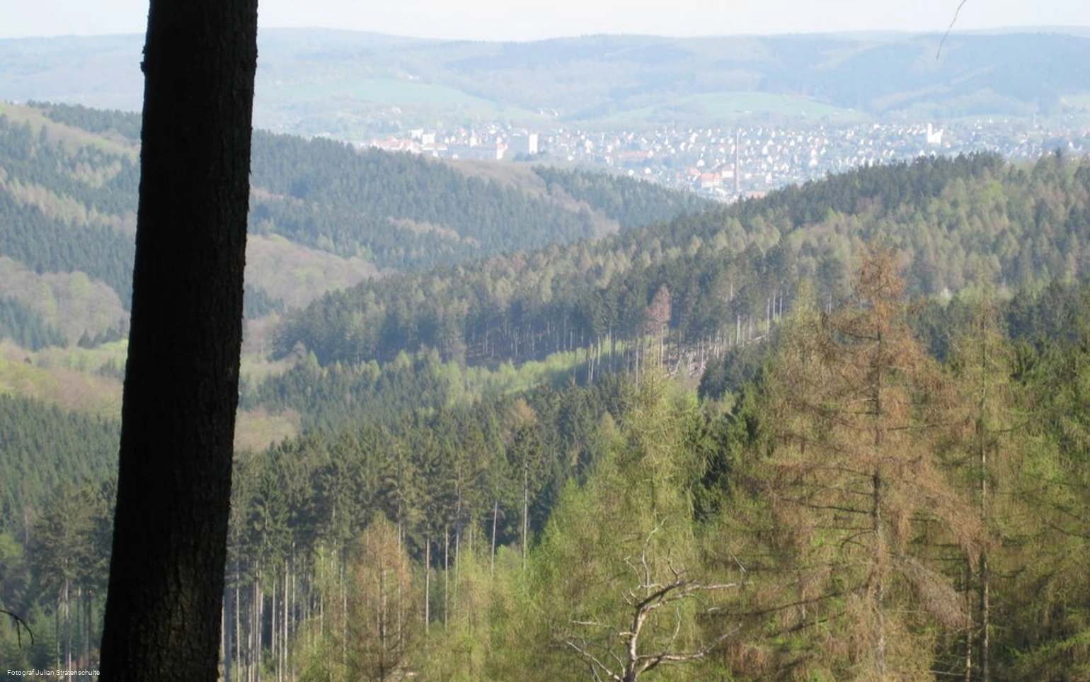 Blick auf Arnsberg