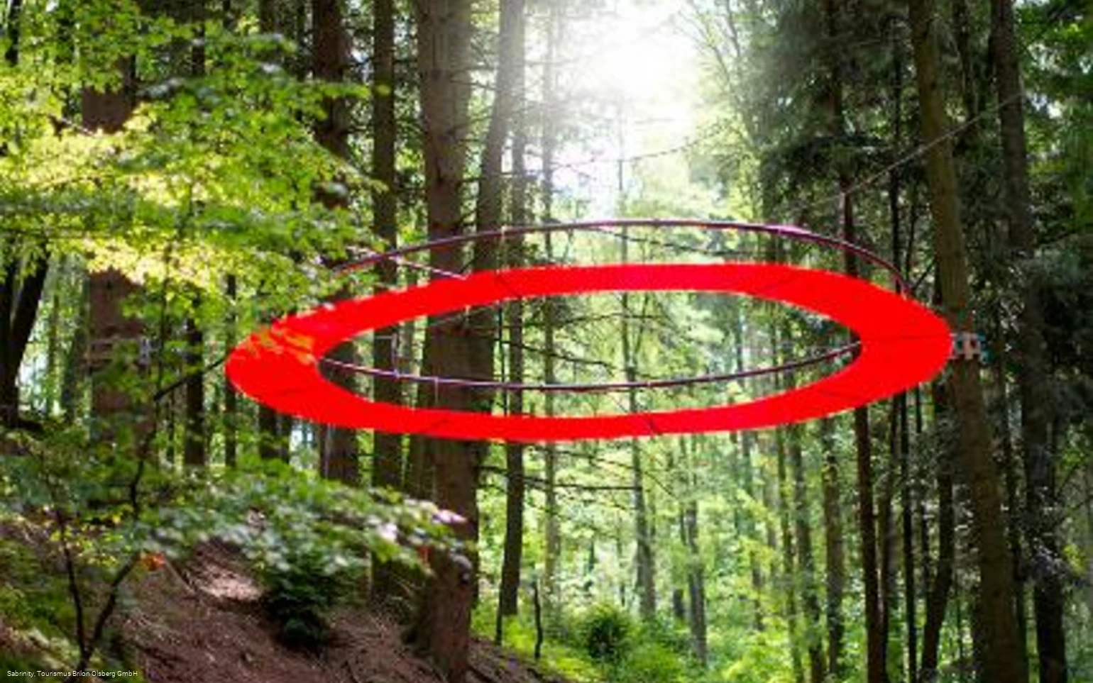 Station 8 - Feenkranz