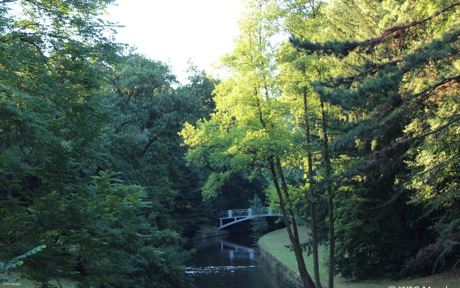 die Hönne in Menden