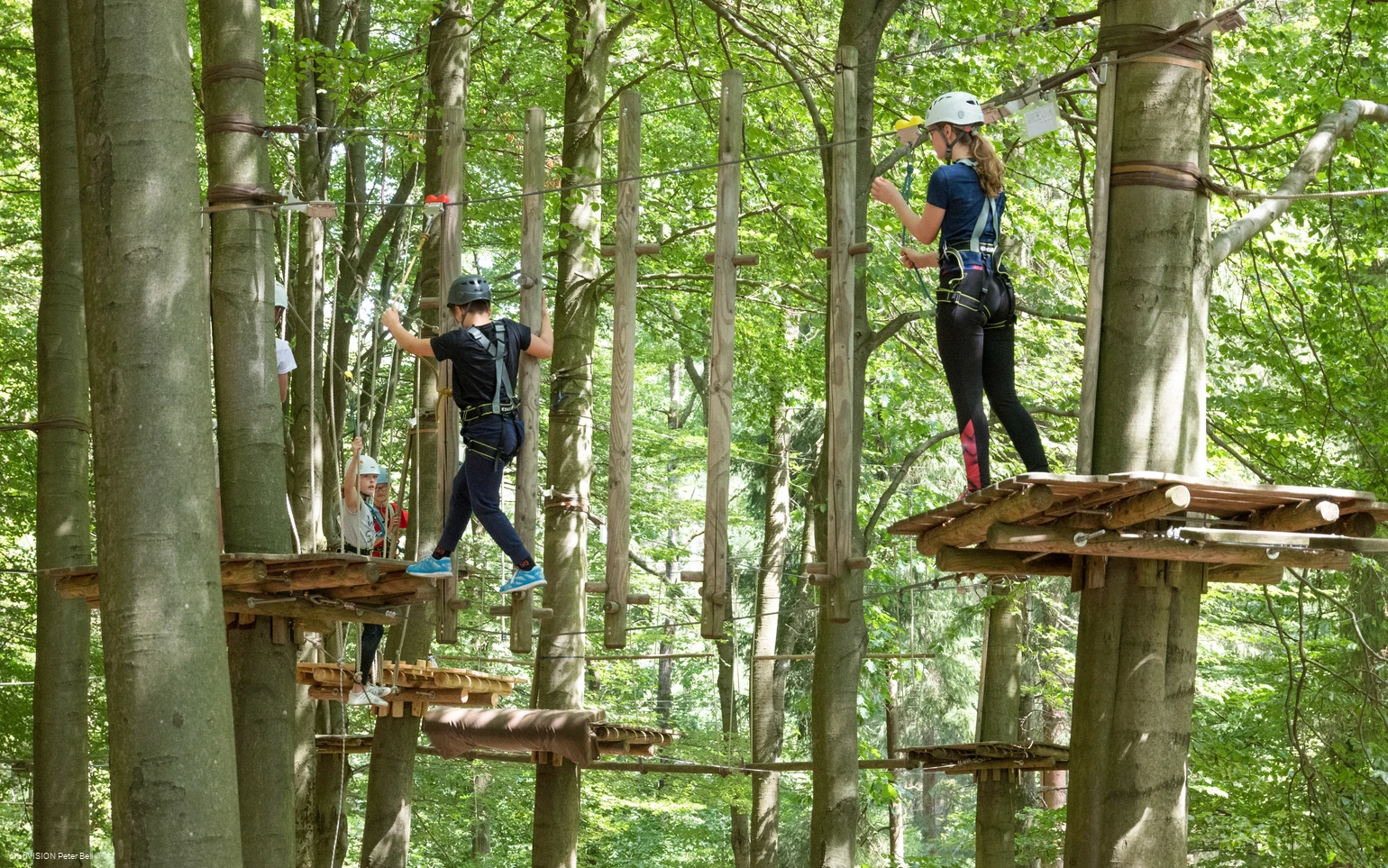Kletterwald