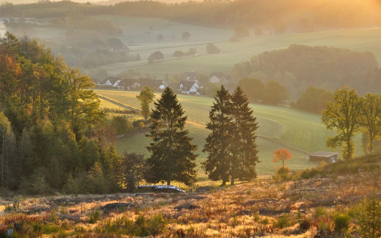 Berlinghausen und unteres Brachtpetal 