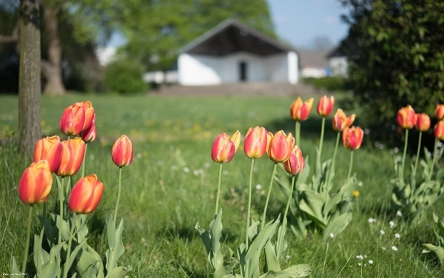 Der Rathauspark in Halver