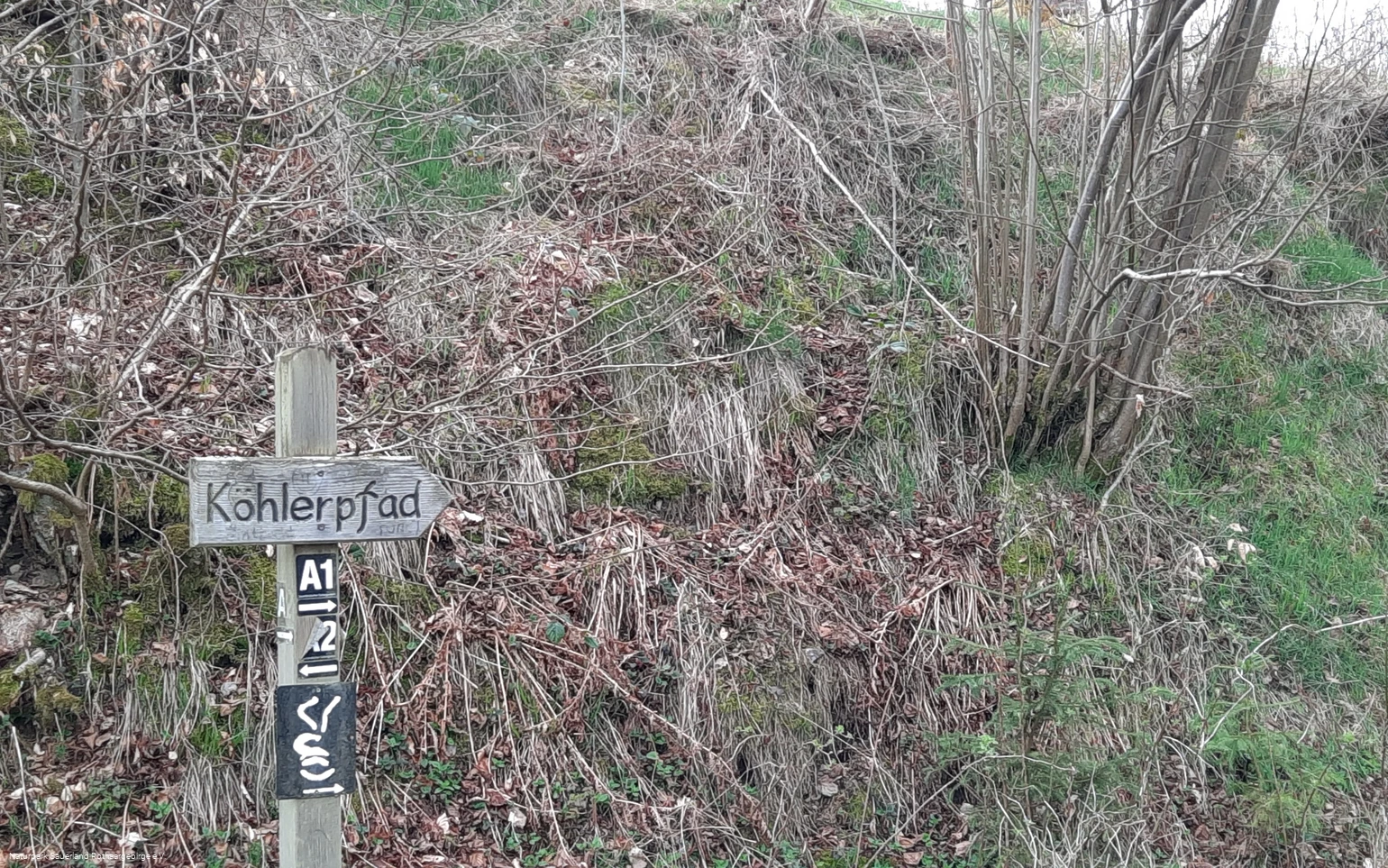 Auf den Spuren der Köhlerei