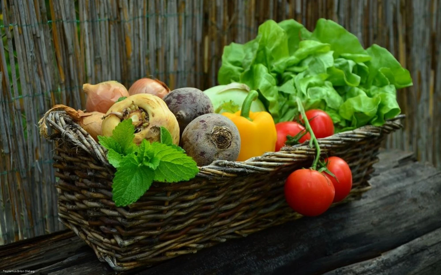 gesunde Ernährung