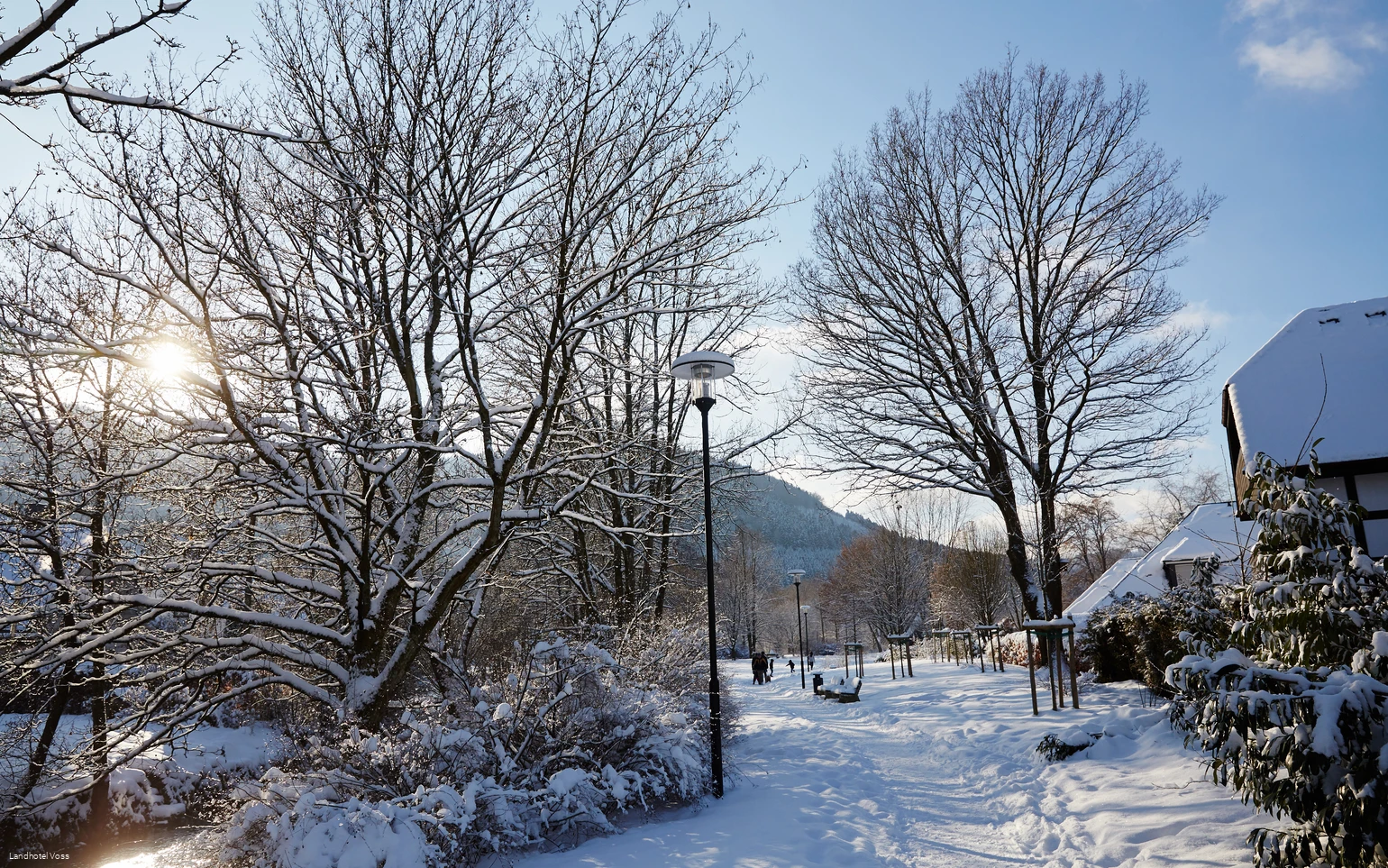 Voss snow photos 2017_126.jpg