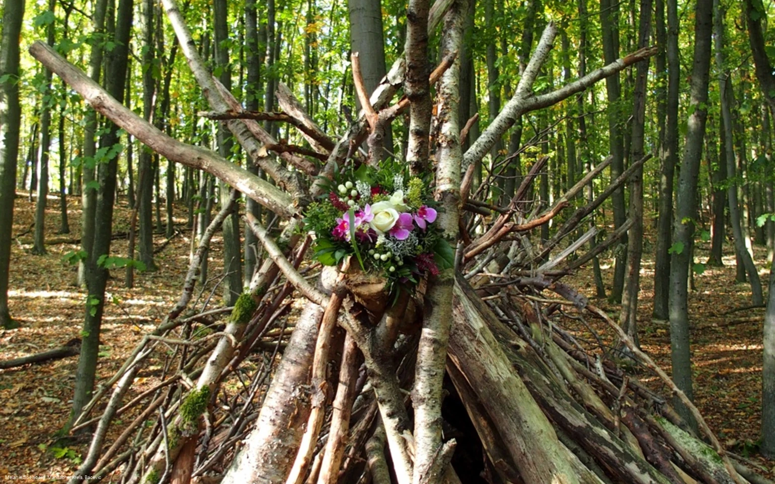 Wald-Tipi