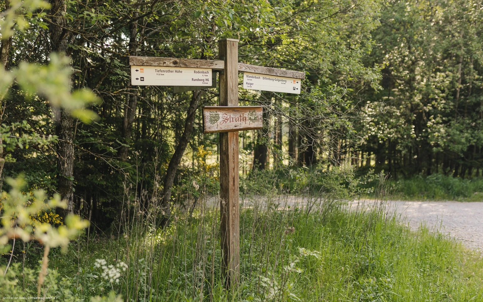 Rothaarsteig-Wegweiser auf dem Abschnitt Rodenbach - Dillenburg
