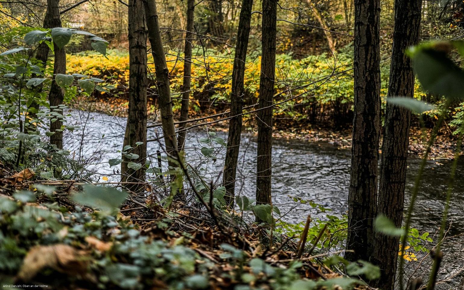 Auch nah am Wasser entlang führt der Themenweg
