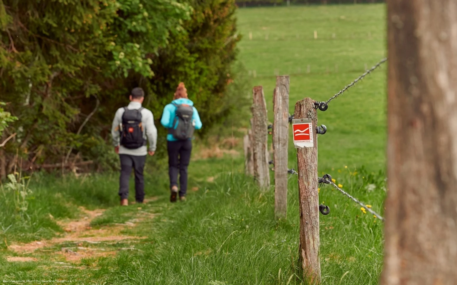 Pfad bei Küstelberg auf dem Rothaarsteig