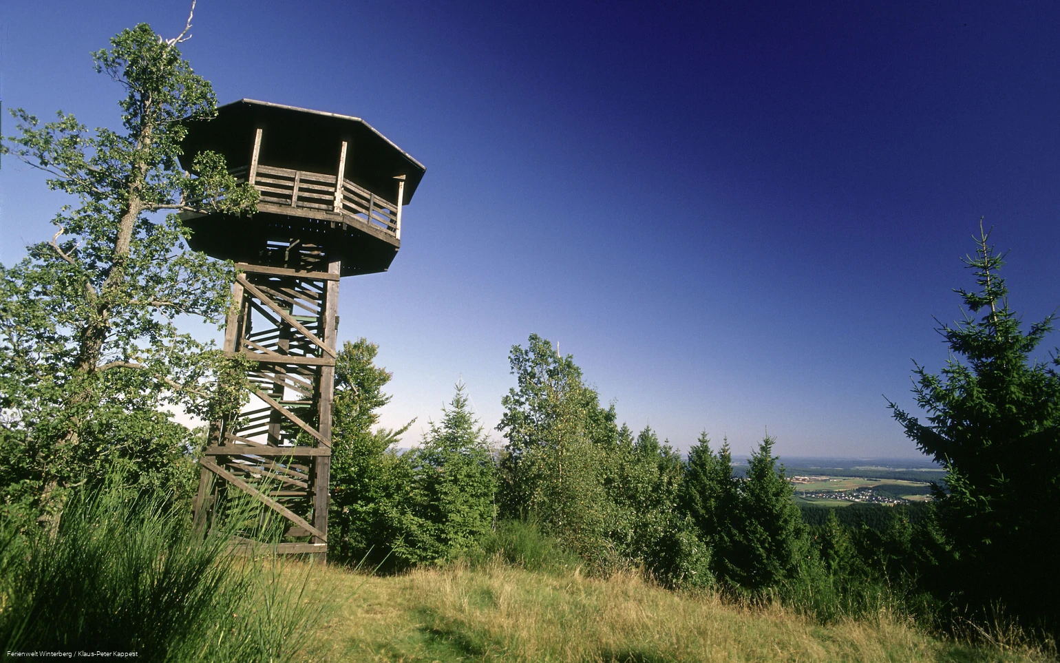 Großer Holzturm mit Dach zwischen Bäumen und Wiesen.