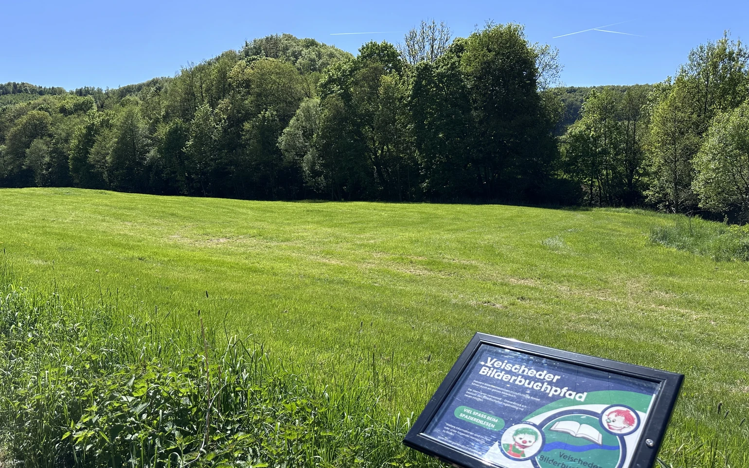 Veischeder Bilderbuchpfad_Wiese