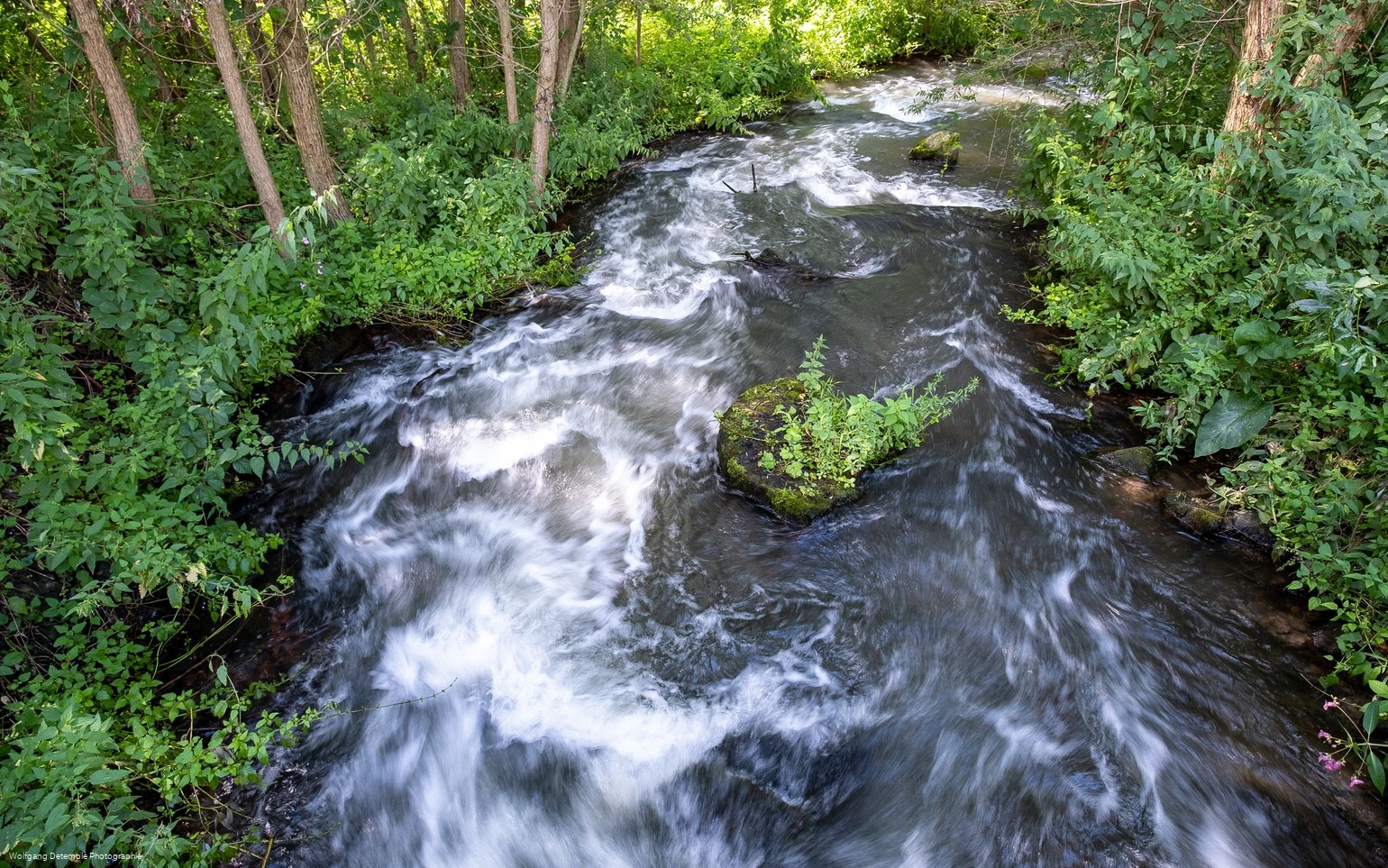 Bachlauf