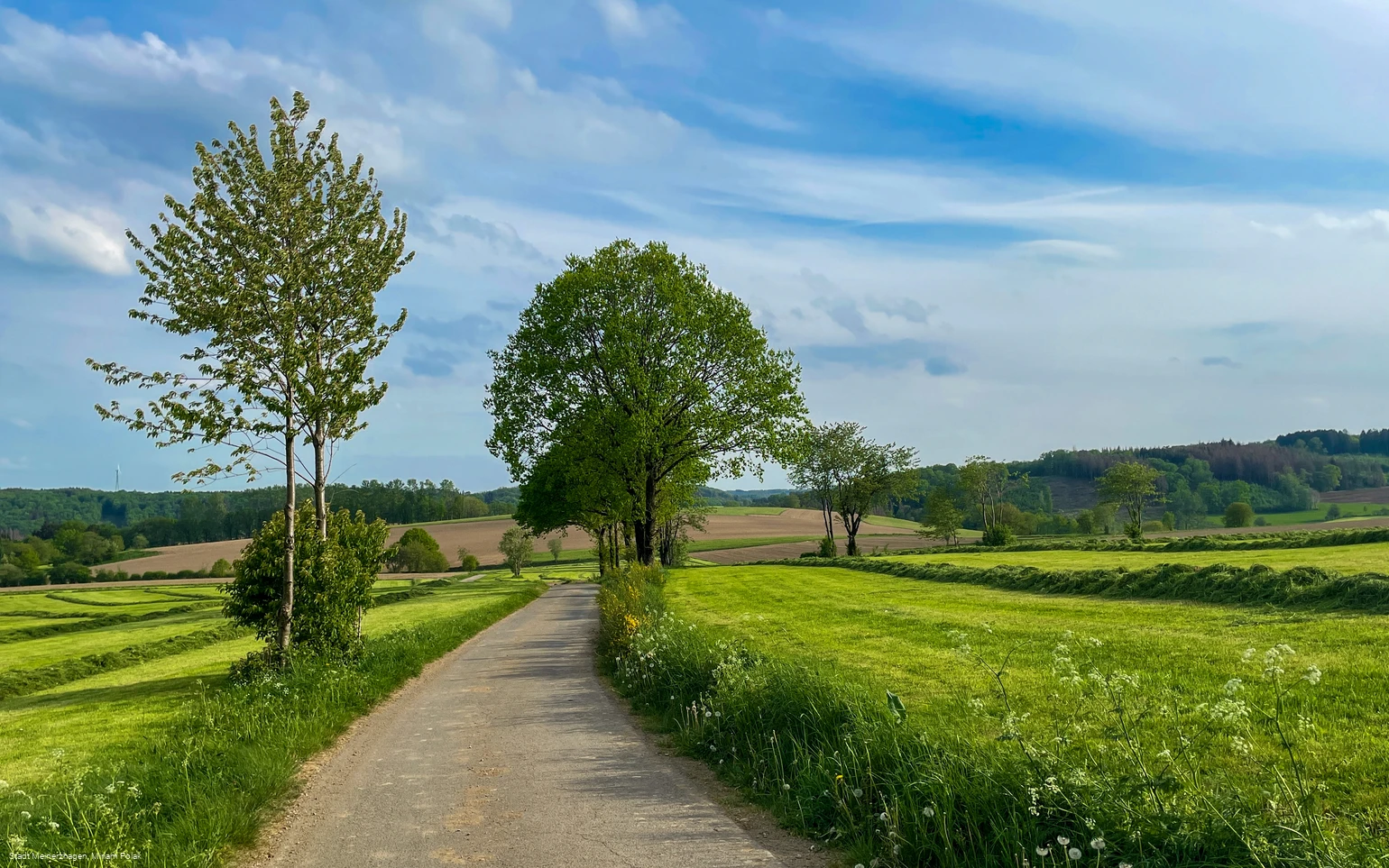 20220512_Jagdhornweg_Valbert (4).jpeg