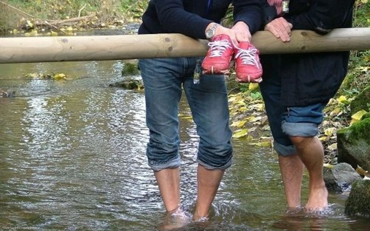 Tretstelle Gierskopp