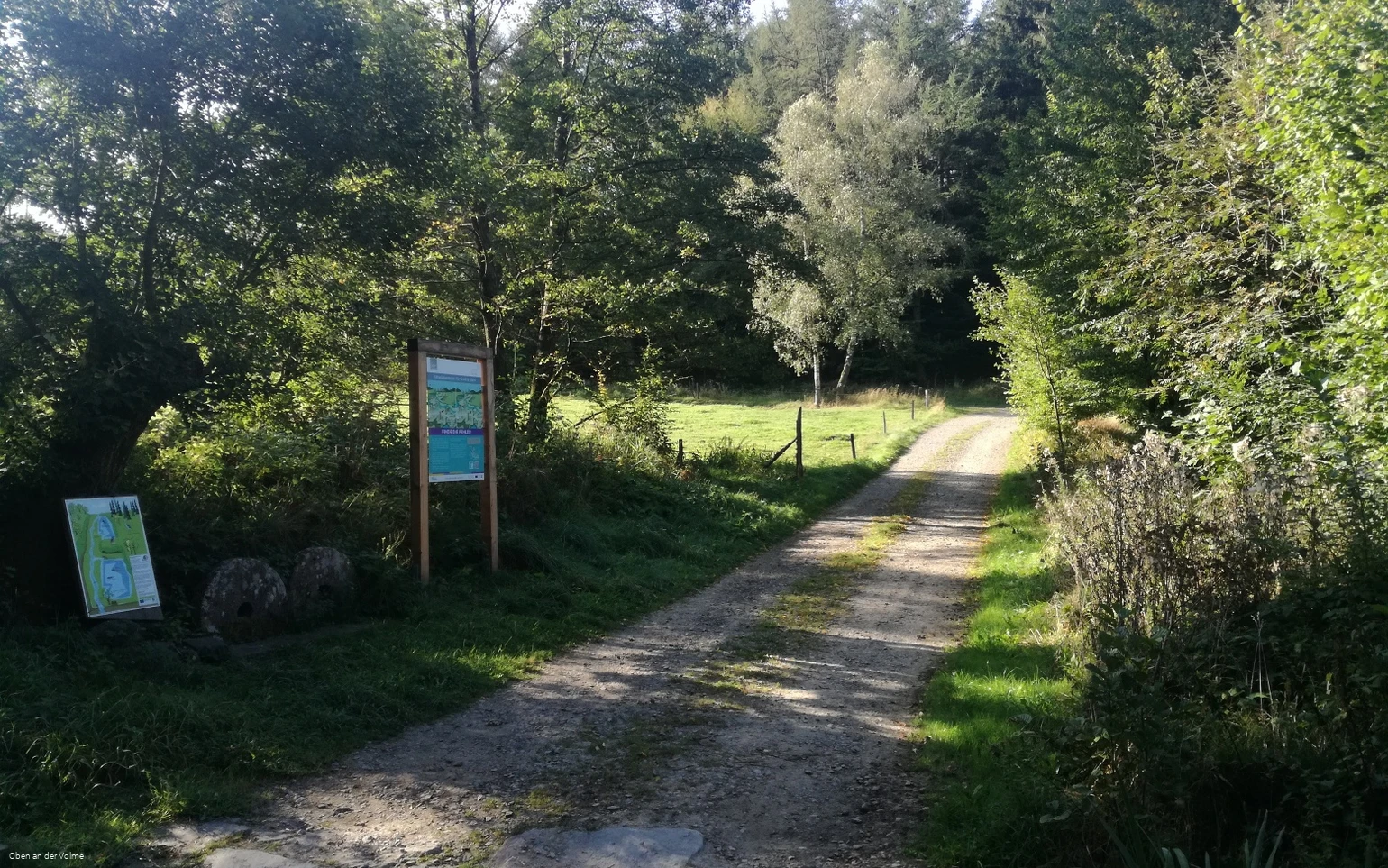 Rätseltafel an einer Waldkreuzung