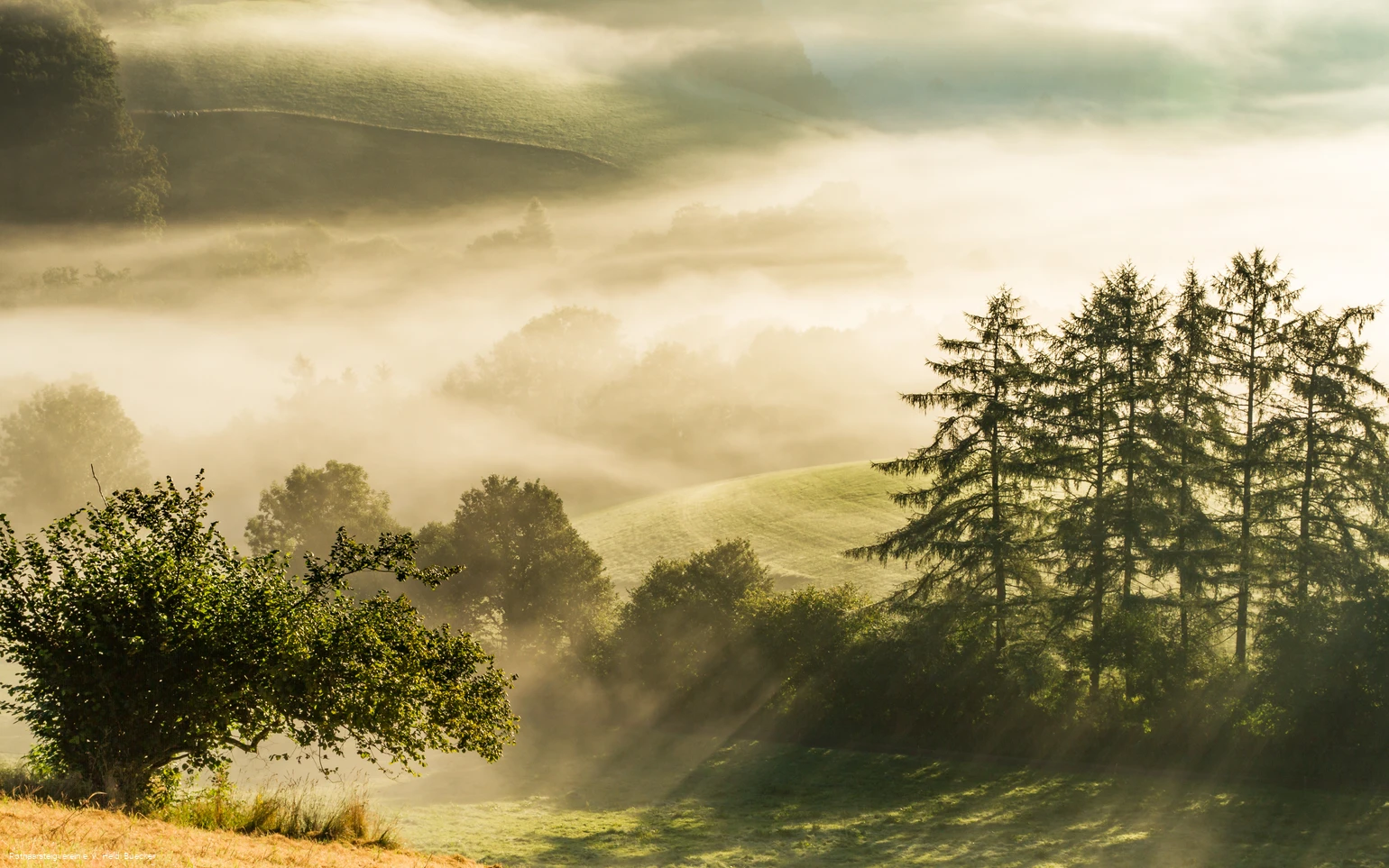 morgendunst-im-sauerland-1133.jpg