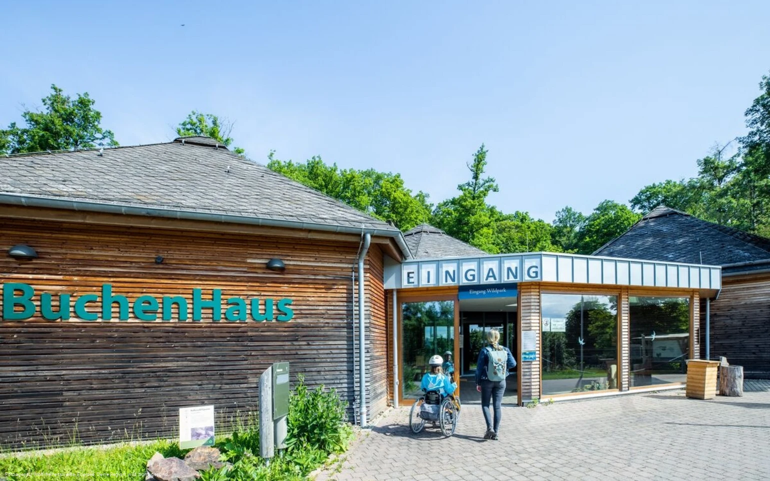 BuchenHaus am WildtierPark Edersee