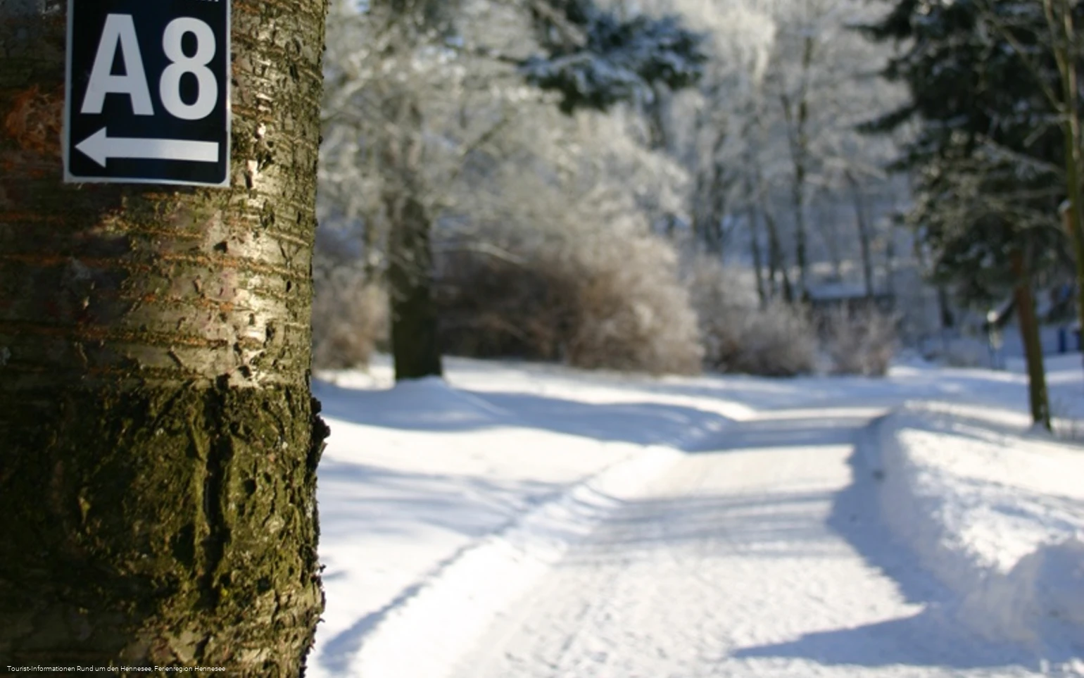 Winterwanderweg Hennesee A8