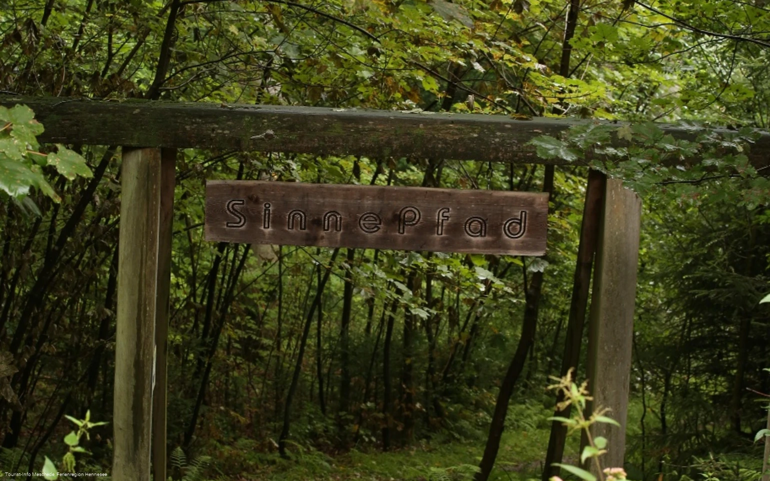 Eingang Sinnepfad