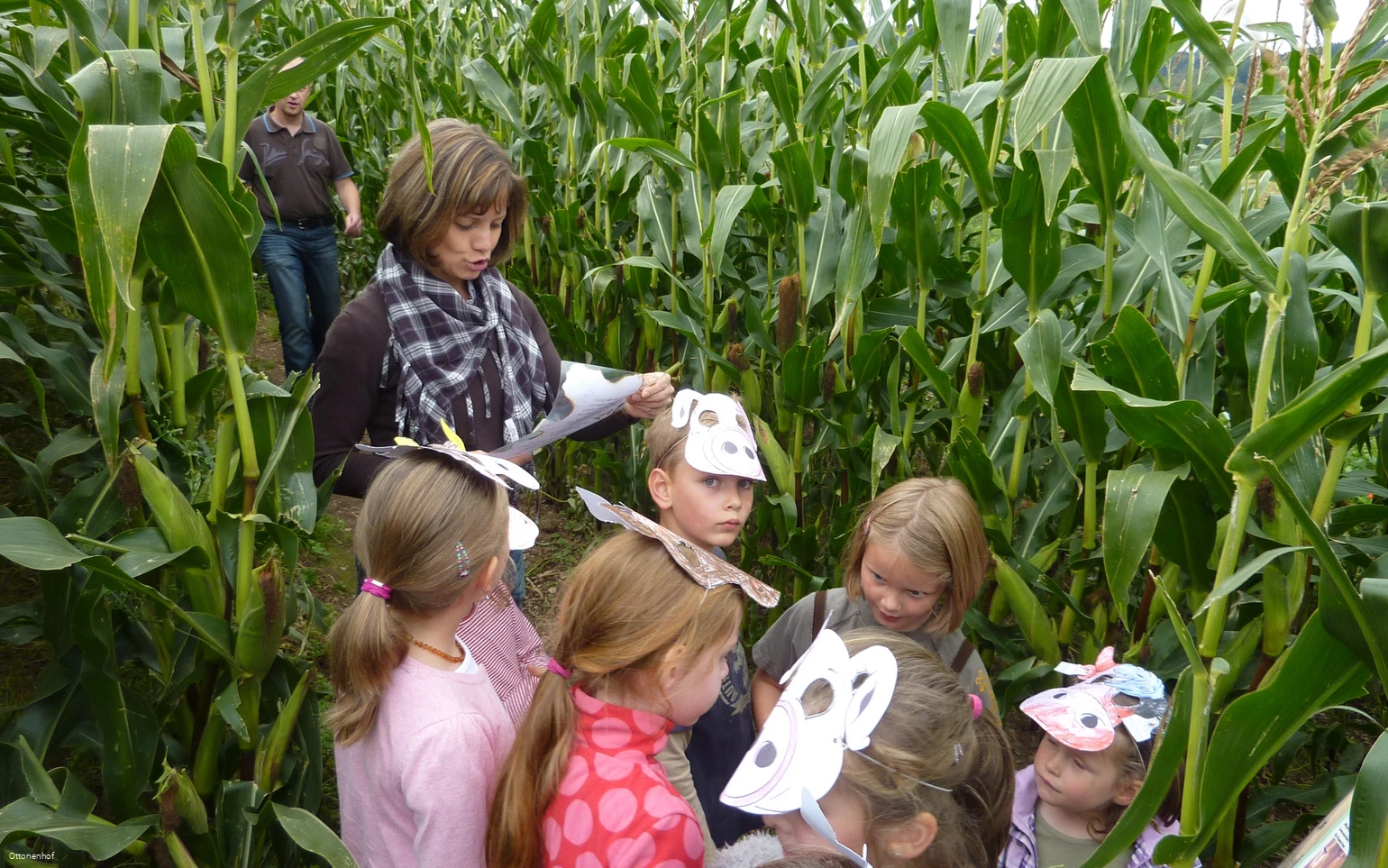 Ottonenhof Maislabyrinth