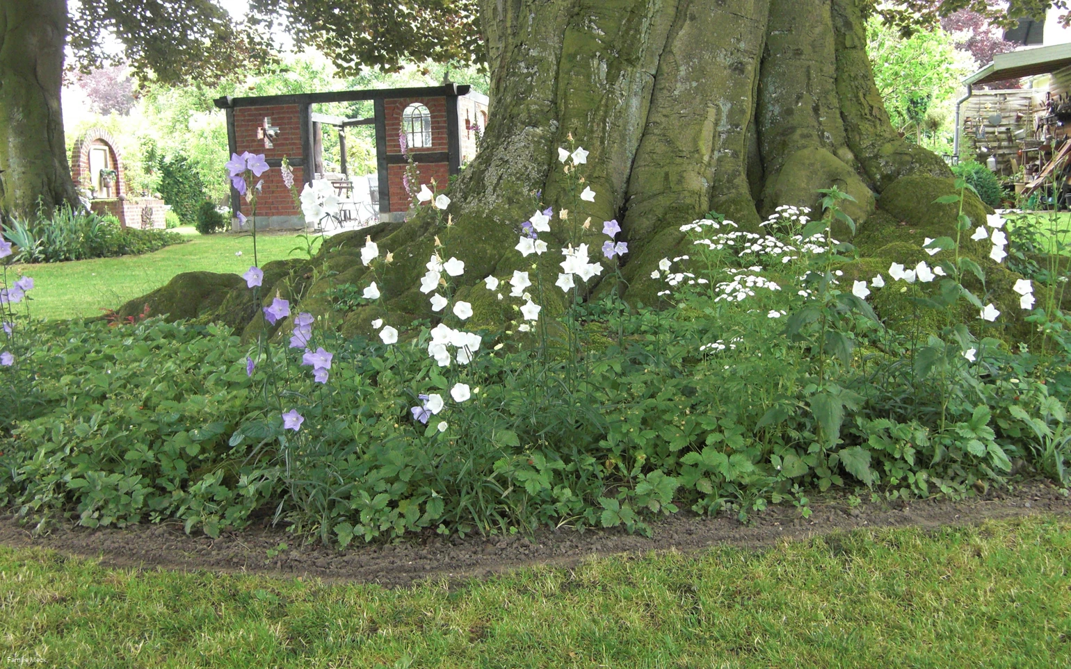 LIPPETAL - Mecks Landgarten (Meck) (1).JPG