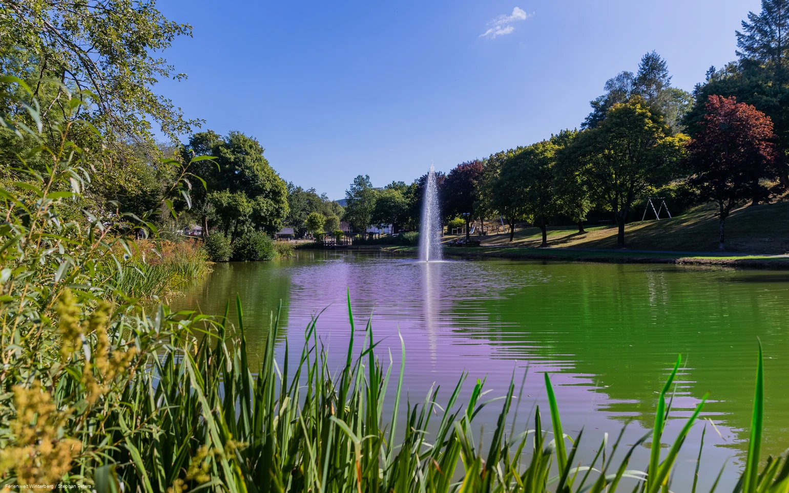 Ein See mit einer Fontäne in der Mitte umgeben von Wiesen, Sträuchern und Bäumen.