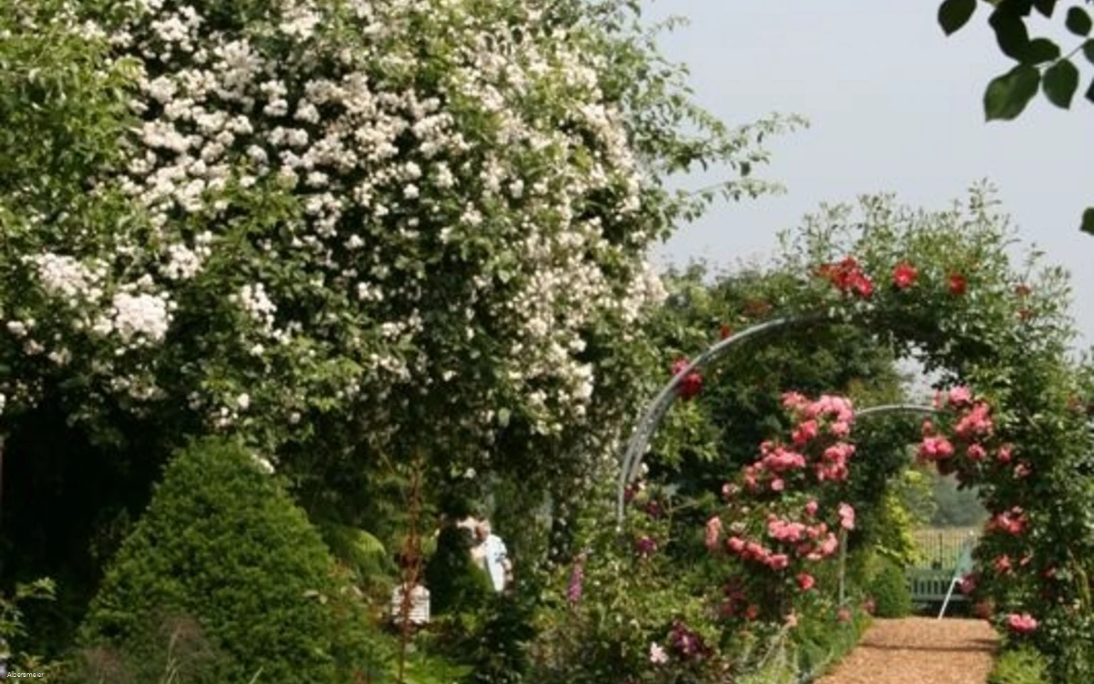 Feldgarten Schoneberg